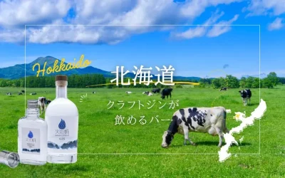 北海道でクラフトジンが飲めるお店8選！