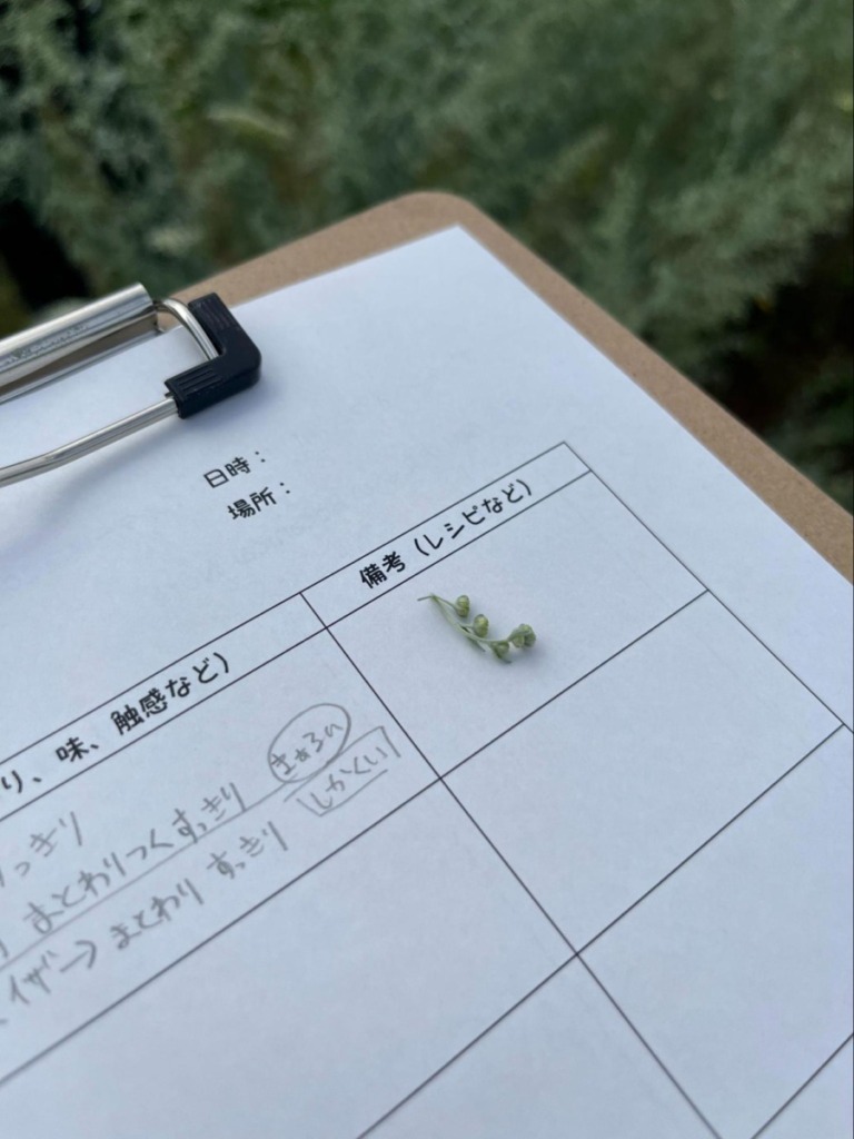 香りの違いをシートに書き込んでいく様子