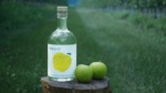 tekaro、「GIN First Harvest」をMakuakeで先行販売開始